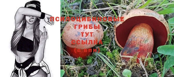 дурь Богородицк
