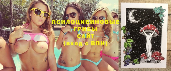 2c-b Богданович