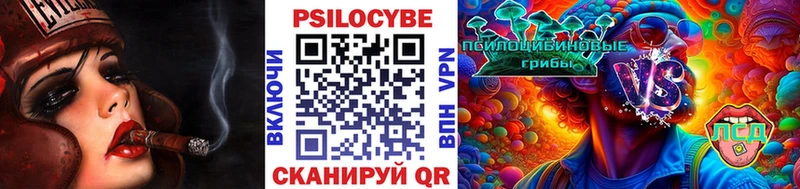 Псилоцибиновые грибы ЛСД  Купить закладки  Черемхово 